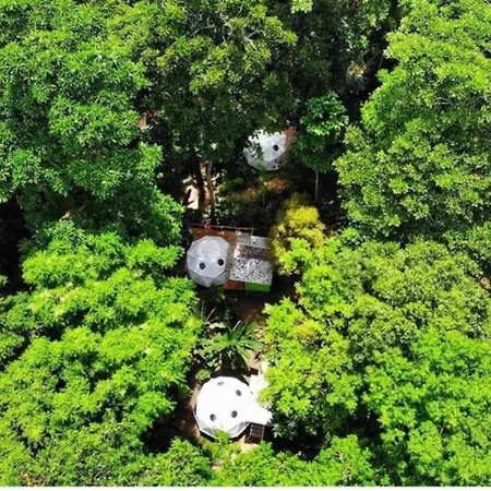 Hotel Faith Glamping Dome Costa Rica-2